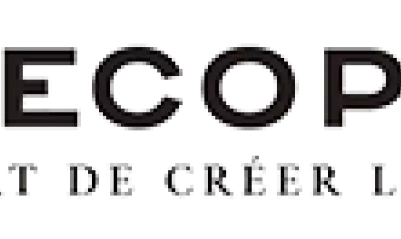 Logo Decopierre