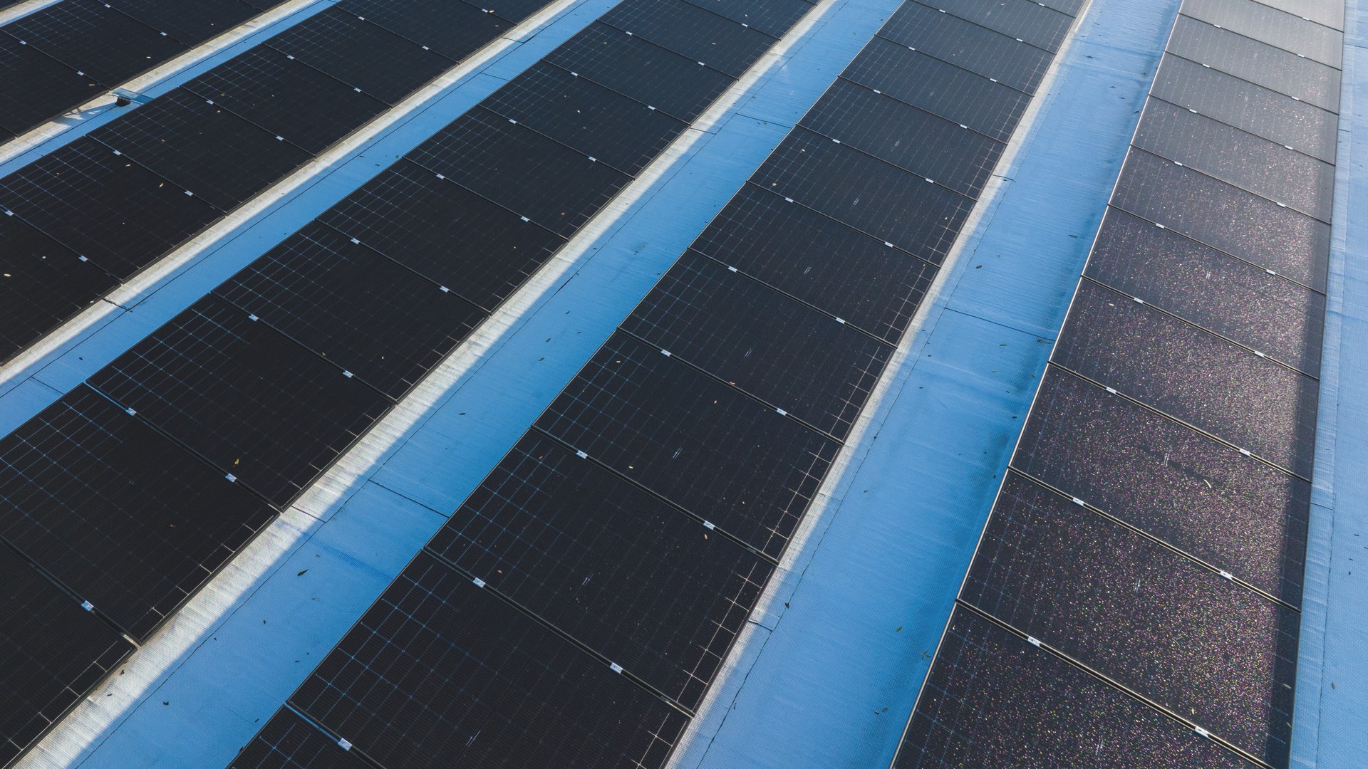 Rangées de modules photovoltaïques posées sur une toiture étanchée de bâtiment industriel, vues de dessus