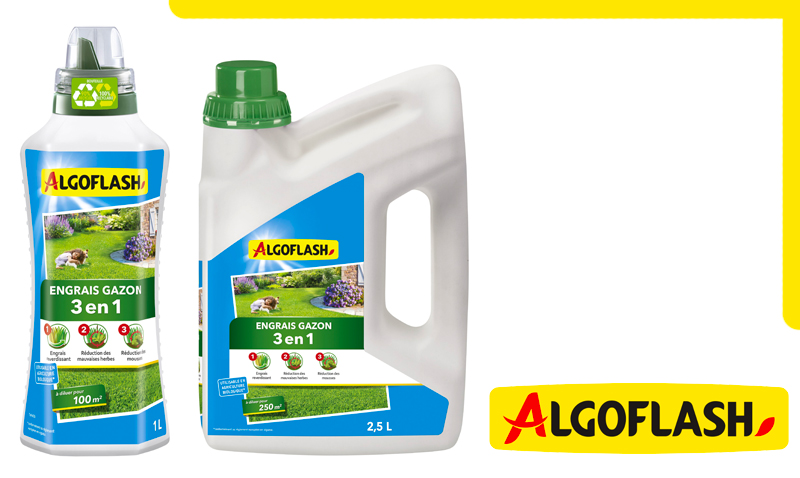 schaumann saatgut Schattensaum Saatgut – Heimische Pflanzen für Schatten – WildLand main image 1