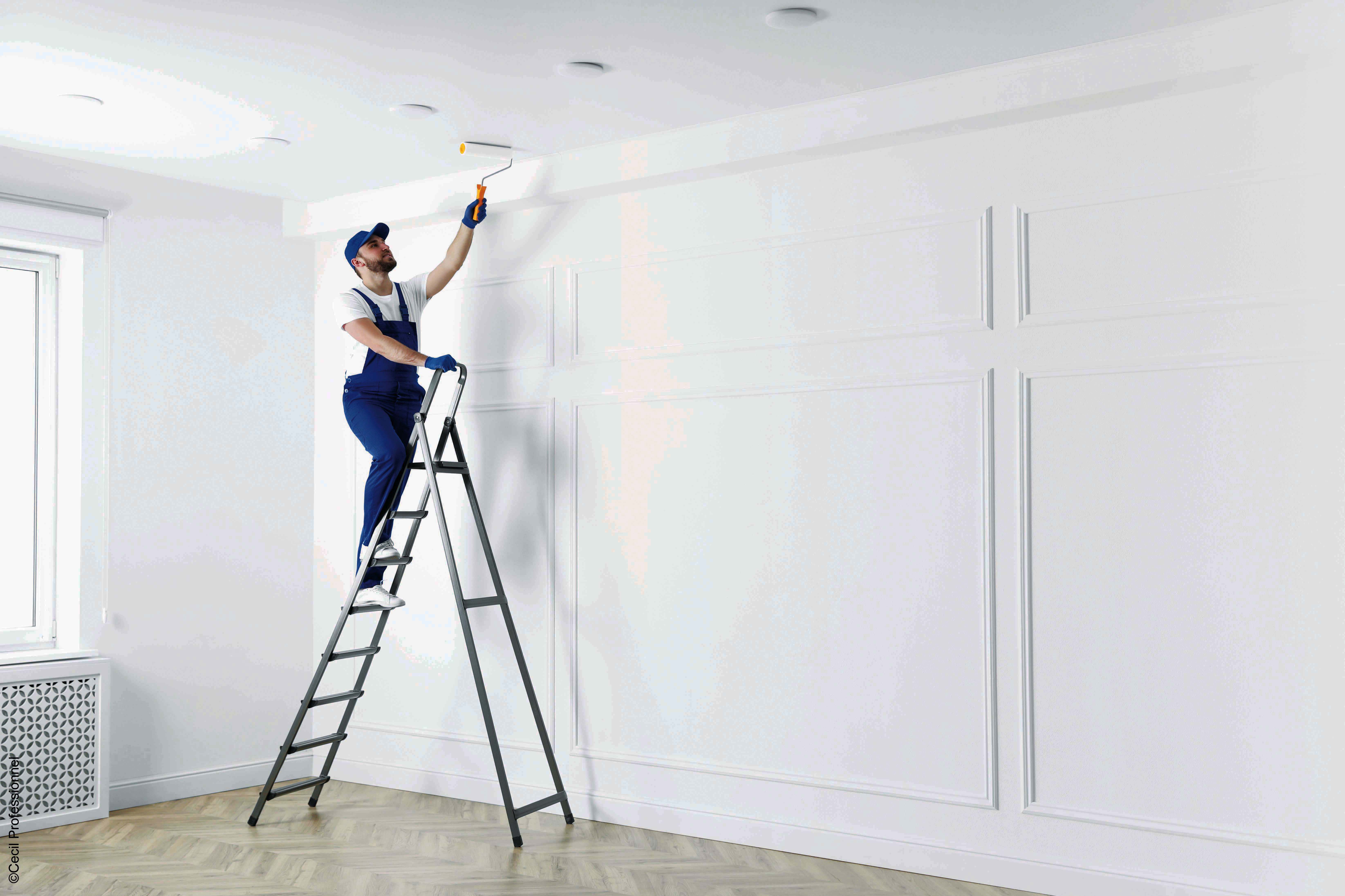 Cecil Professionnel: White construction paints, three quality levels