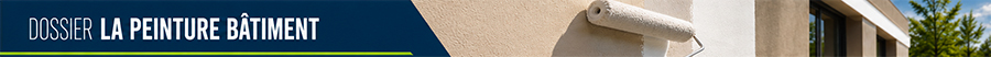 Dossier La peinture bâtiment
