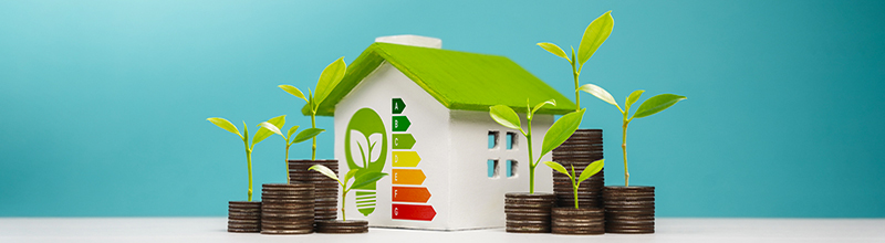 Le diagnostic de performance énergétique (DPE)