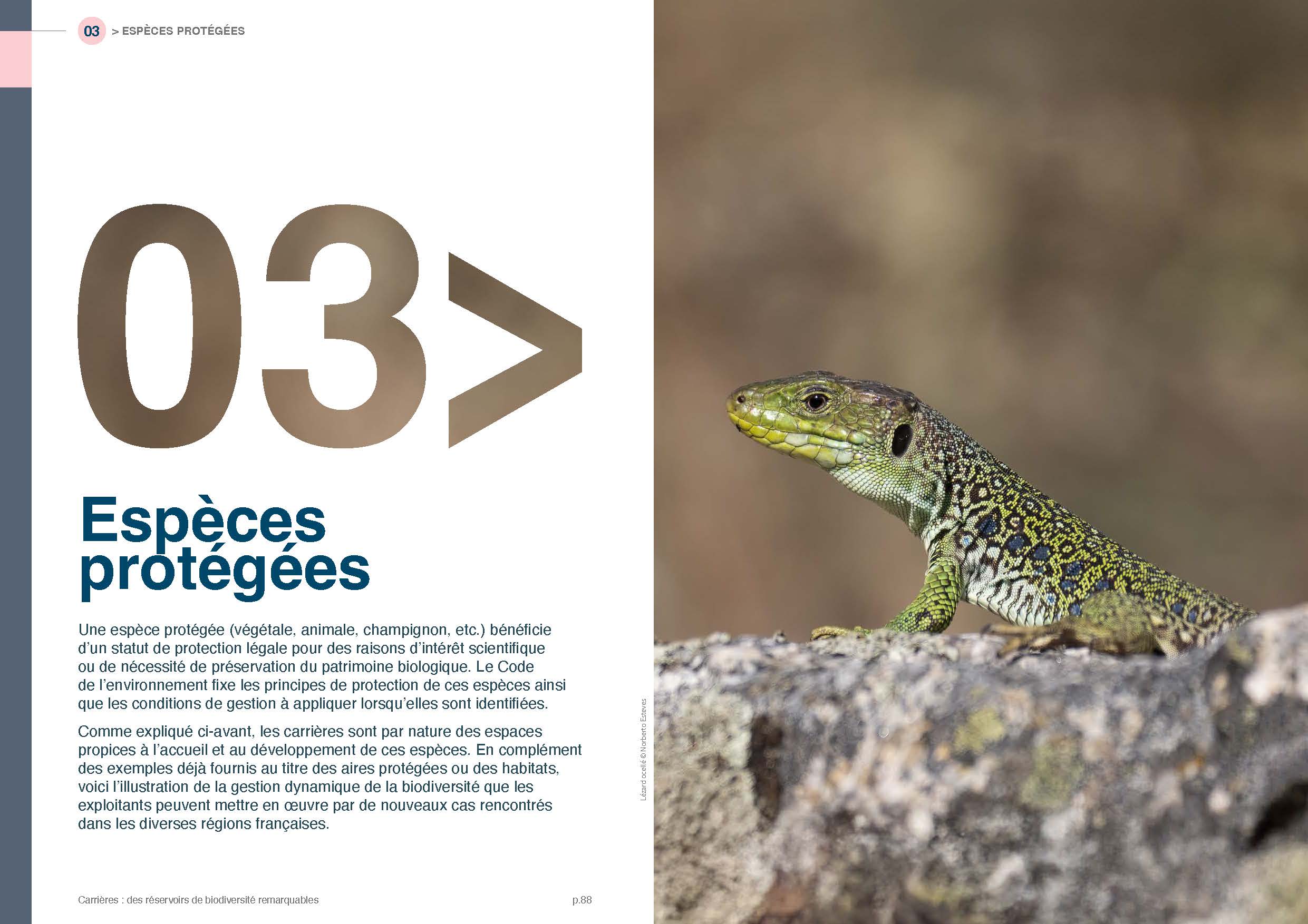 Espèces protégées