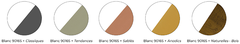 BICOLORATION INTERIEURE / EXTERIEURE DE SEPALUMIC