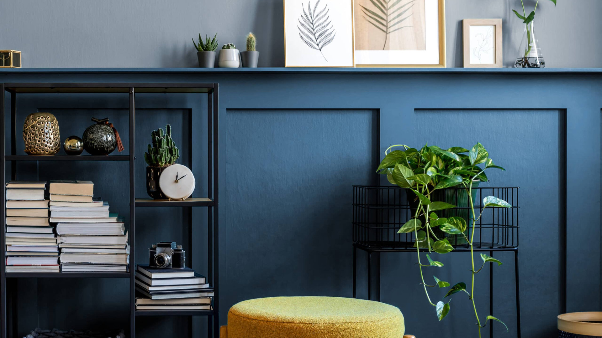 Bibliothèque et mur peints en bleu profond avec tabouret jaune, cadres et plantes dans un salon
