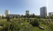 Vue des tours après travaux - Lorillard