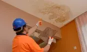 Fuite de toiture et humidité