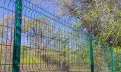 Choisir le bon grillage ou clôture pour son terrain