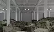 Rocks