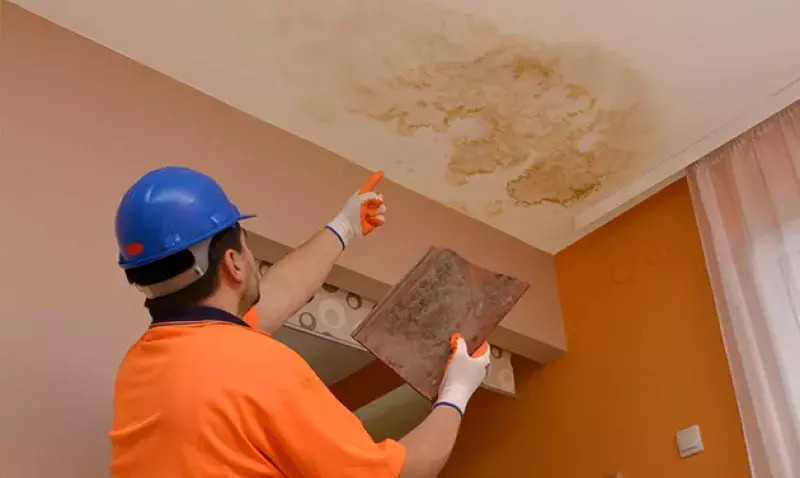 Fuite de toiture et humidité