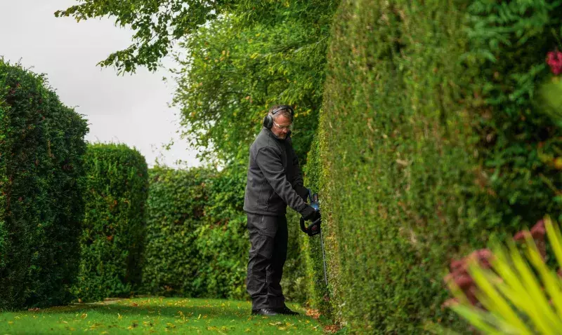 Bosch Professional