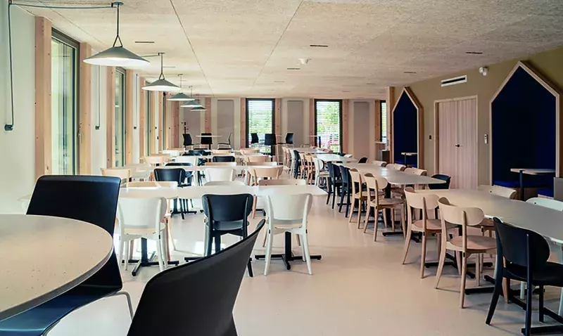 Réfectoire d'entreprise meublé de tables rondes et de chaises claires sous un plafond en panneaux de bois.