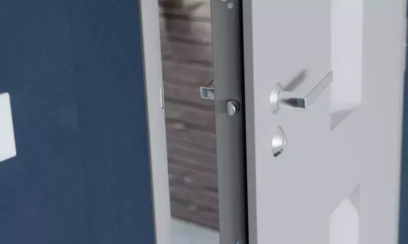 Porte Diamant Luminance II de Picard Serrures