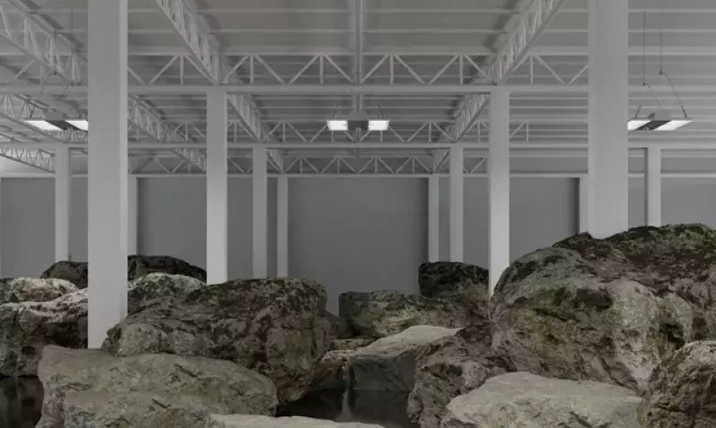Rocks