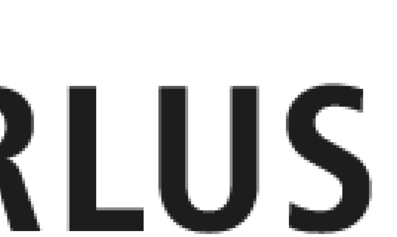 Logo Erlus